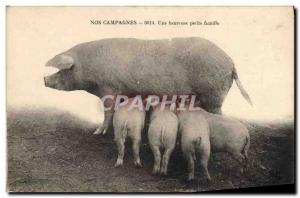 Postcard Old Pig Pig A happy little family