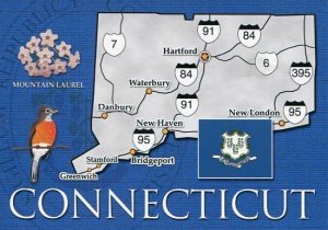 CONNECTICUT - CONSTITUTION STATE - MAP POSTCARD [6793]