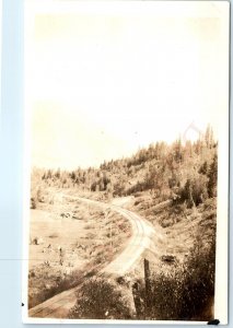 c1920s Unknown Mountain Railway RPPC Track Forest Real Photo Postcard CO? A95