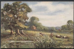 Kent Postcard - Cows in a Field Near Beckenham      T1479