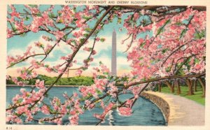 Vintage Postcard 1930's View of Washington Monument and Cherry Blossoms WA