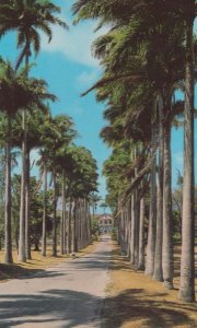 Codrington College West Indies Barbados Postcard