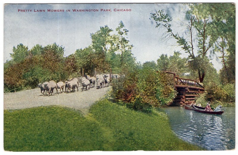 Chicago, Pretty Lawn Mowers In Washington Park