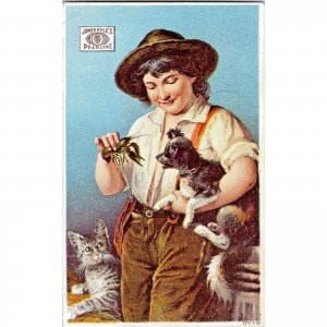 James Pyle's - PEARLINE - Antique Victorian Trade Card - New York - Boy Dog Cat