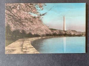 JapaneseCherryTrees&WashingtonMonument Washington DC Litho Postcard H2191083220