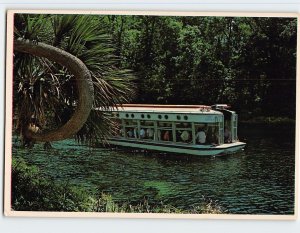 Postcard Glass Bottom Boats, Florida's Silver Springs, Florida