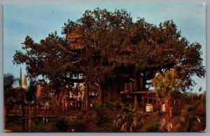 Postcard Walt Disney World FL c1971 Swiss Family Robinson Treehouse 1110207 A
