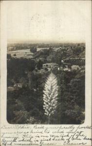 Ranch - Birdseye View Pasadena CA Cancel 1906 Real Photo Postcard