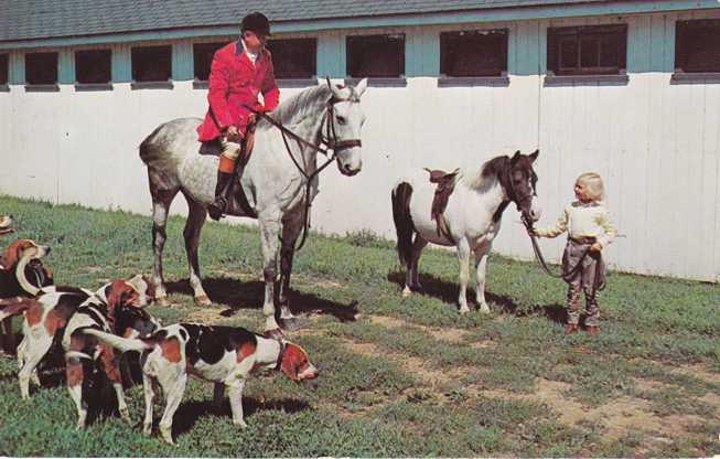 Ready For The Hunt - Dogs, Horse, Pony