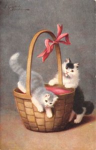 Cats in Basket Artist Sperlich Cat Unused 