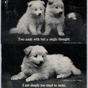 x2 LOT 1911 Cute Samoyed Eskimo Puppy Dogs Tired Souls Postcard JG Steele A170