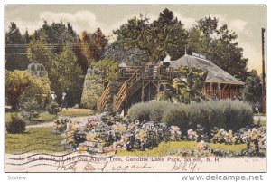 In the Shade of the Old Apple Tree, Canobie Lake Park, SALEM, New Hampshire, ...