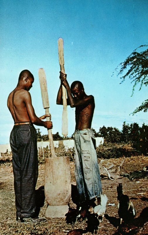 VINTAGE POSTCARD NATIVE MEN GRINDING CORN COUNTRYSIDE OF HAITI