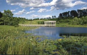 Houston Pond at Newman Arboretum - Cornell Plantations, Ithaca NY, New York