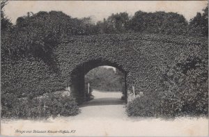 Postcard Bridge over Delaware Avenue Buffalo NY