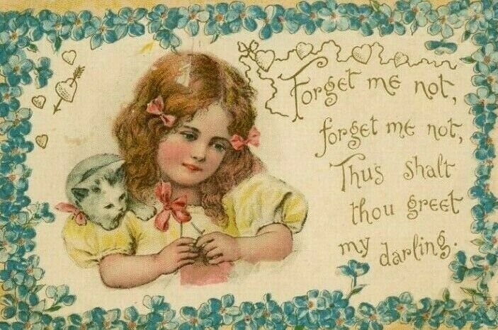 1880s-90s Embossed Victorian Valentine Card Adorable Child & Cute Cat P216