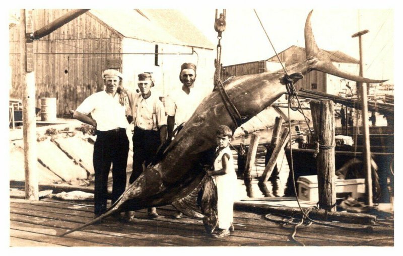 Sail Fish , trussed up on Dock , RPC