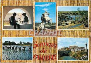 CPM En Camargue