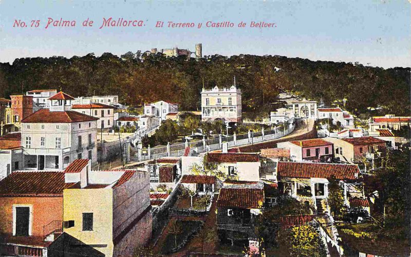 Panorama Palma de Mallorca Majorca Spain 1910s postcard