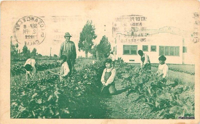 1922 Farming Agriculture Religion Agriculture Green Tint postcard 7023