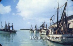 Shrimp Fleet - Key West, Florida FL