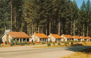 TWIN PINES CAFE & MOTEL Highway 199 Roadside O'Brien, OR c1950s Vintage Postcard