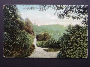 Bristol HENBURY - ARBUTUS GROVE c1908 Postcard by F.C. Sincock of Westbury