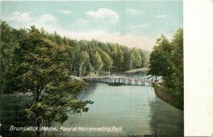 ME, Brunswick, Maine, Pond of Merrymeeting Park, FE Merrill