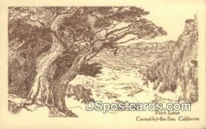 Point Lobos - Carmel by the Sea, California CA  