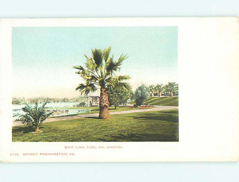 Unused Pre-1907 PARK SCENE Los Angeles California CA r7488