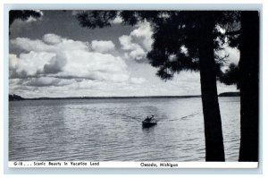 c1910 Scenic Beauty in Vacation Land Oscoda Michigan MI Unposted Postcard