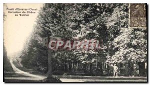 Postcard Old Foret Ecouves Orne Carrefour du Chene at Verrier