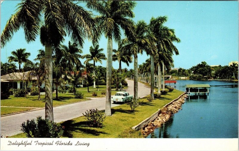 Delightful Tropical Florida FL Living Old Car Postcard UNP VTG Unused Vintage 