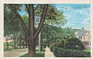 DE LAND FLORIDA~NEW YORK AVENUE LOOKING WEST~1920s POSTCARD