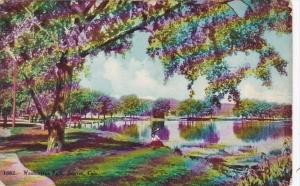 Colorado Denver Scene In Washington Park 1910