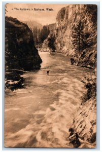 Spokane Washington Postcard Narrows Aerial View Bridge River Trees 1909 Vintage