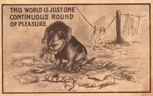 Vintage Postcard 1912 This World Is Just One Continuous Round Of Pleasure Comic