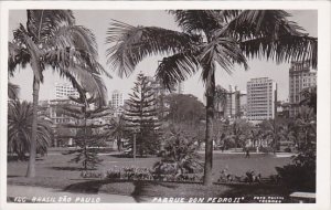 Brasil Rio de Janeiro Parque Don Pedro II Real Photo