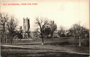 Vtg Ely Cathedral From Deans Park Ely Cambridgeshire England UK Postcard