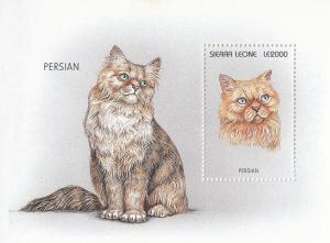 Sierra Leone Brown Persian Cat Large Stamp