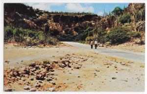 Aruba Netherlands Antilles French Pass Balashi Road People Walking Postcard