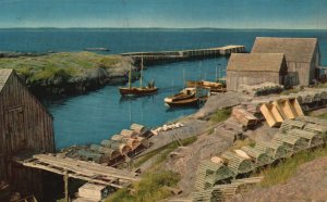 Vintage Postcard 1952 Beautiful Scenery At Blue Rocks Nova Scotia Canada