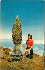 Postcard PEOPLE SCENE Haleakala National Park Hawaii HI AL4215