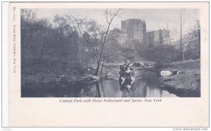 Central Park & Hotel Netherland & Savoy, New York City , Pre-1907