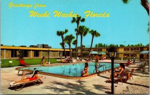 Florida Greetings From Weeki Wachee The Holiday Inn Swimming Pool