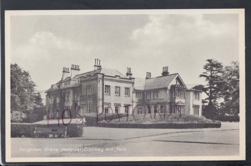 Yorkshire Postcard - Deighton Grove, Crockey Hill, York   HM597