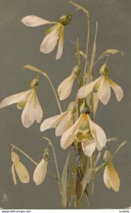 Snow Drops; 1912; TUCK 6919