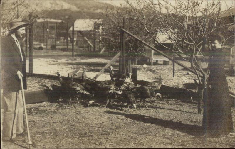 Husband Wife Raising Turkeys Farm etc CRISP Real Photo Postcard c1910