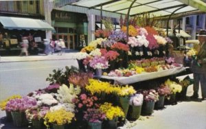 California San Francisco Sidewalk Flower Vendors