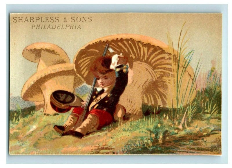 1880s Sharpless & Sons Dry Goods Anthropomorphic Monkey Elephant Lot Of 6 P212 